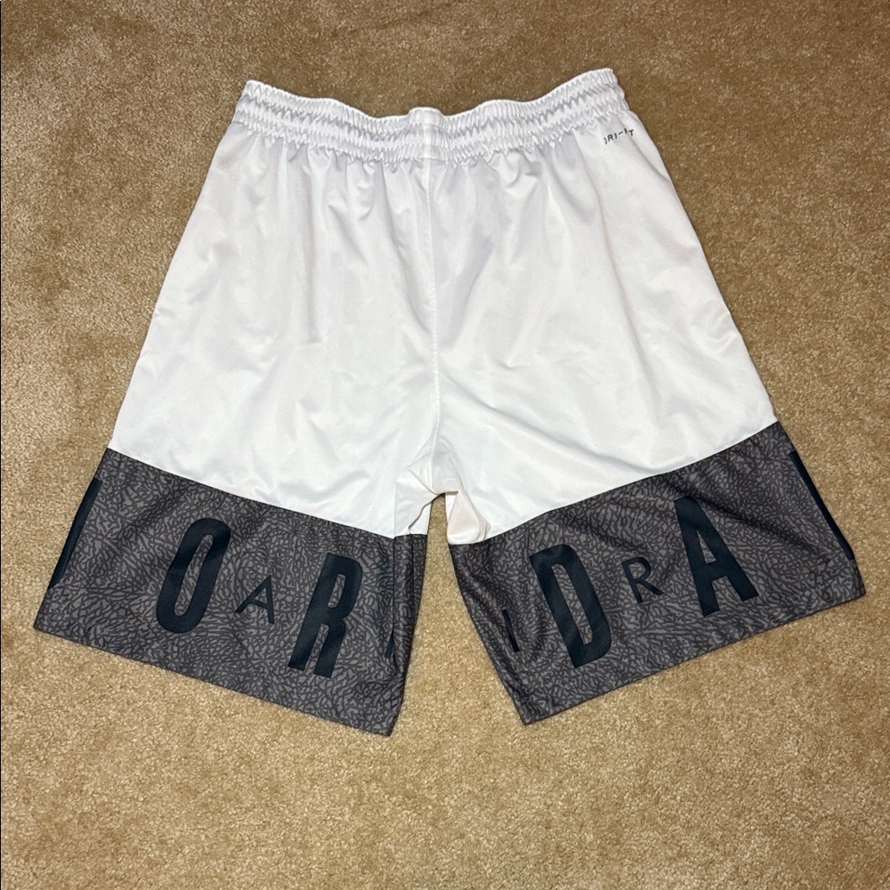 Jordan Mens Dri-Fit Shorts - Picture 4 of 6